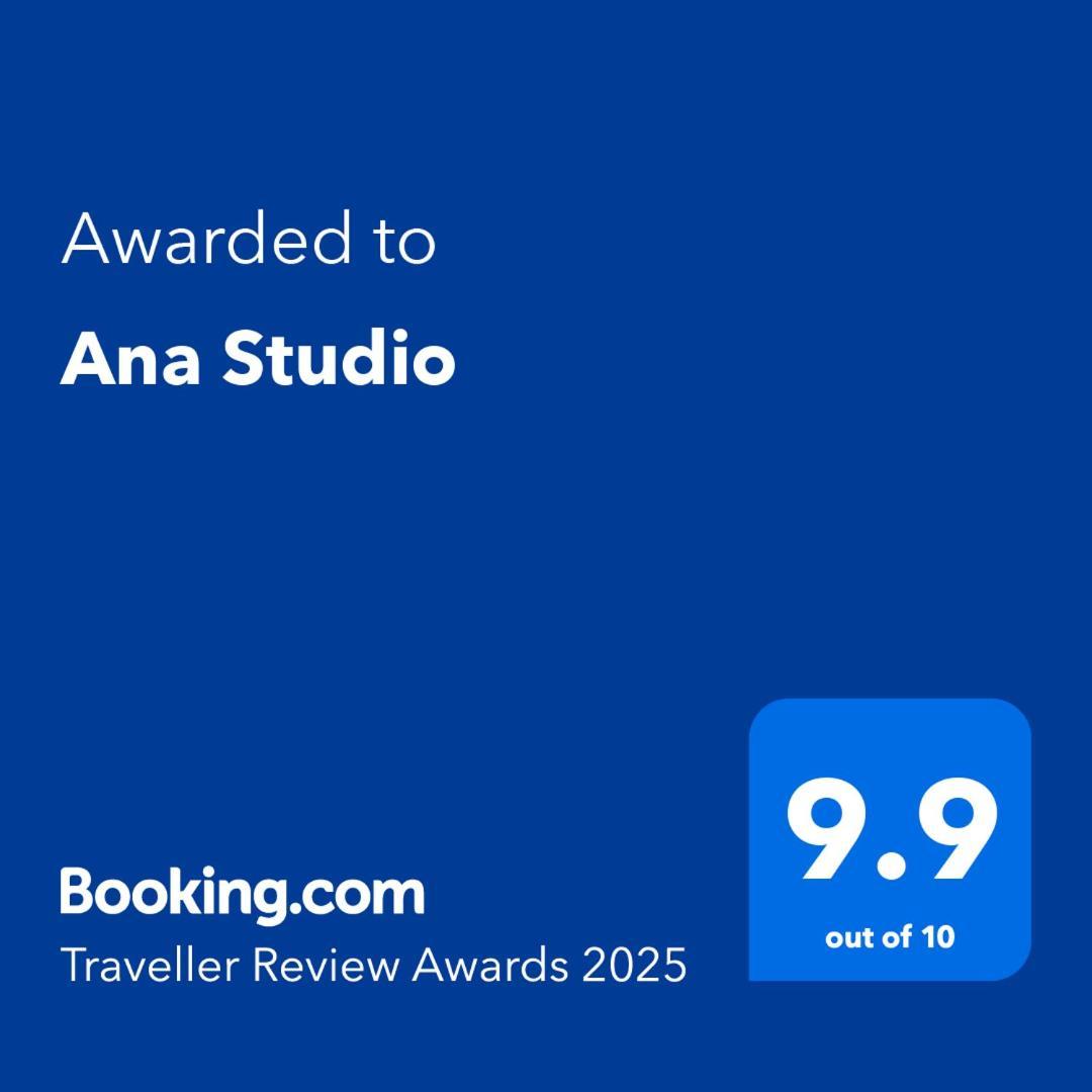Ana Studio Hunedoara Ngoại thất bức ảnh